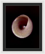 Load image into Gallery viewer, Sea Fragment X - Framed Print by Ryan Hopkins