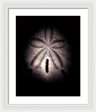 Load image into Gallery viewer, Sea Fragment XI - Framed Print by Ryan Hopkins