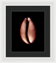 Load image into Gallery viewer, Sea Fragment XII - Framed Print by Ryan Hopkins