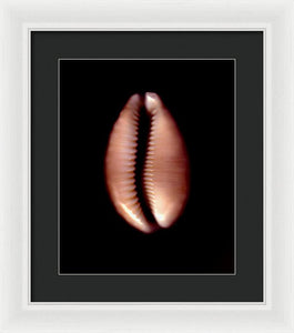 Sea Fragment XII - Framed Print by Ryan Hopkins