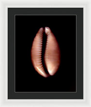 Load image into Gallery viewer, Sea Fragment XII - Framed Print by Ryan Hopkins