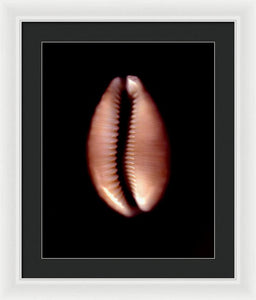 Sea Fragment XII - Framed Print by Ryan Hopkins