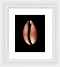 Load image into Gallery viewer, Sea Fragment XII - Framed Print by Ryan Hopkins