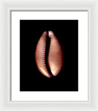 Load image into Gallery viewer, Sea Fragment XII - Framed Print by Ryan Hopkins