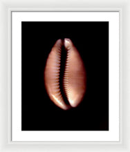 Load image into Gallery viewer, Sea Fragment XII - Framed Print by Ryan Hopkins