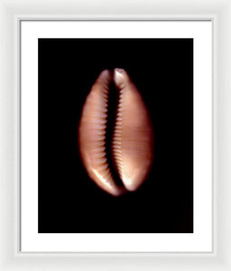 Sea Fragment XII - Framed Print by Ryan Hopkins