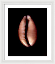 Load image into Gallery viewer, Sea Fragment XII - Framed Print by Ryan Hopkins