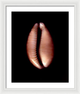 Sea Fragment XII - Framed Print by Ryan Hopkins