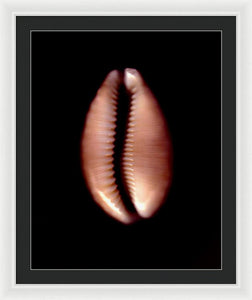 Sea Fragment XII - Framed Print by Ryan Hopkins