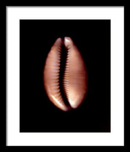 Load image into Gallery viewer, Sea Fragment XII - Framed Print by Ryan Hopkins