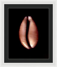 Load image into Gallery viewer, Sea Fragment XII - Framed Print by Ryan Hopkins