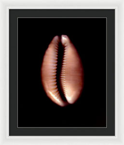 Sea Fragment XII - Framed Print by Ryan Hopkins