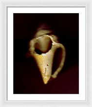 Load image into Gallery viewer, Sea Fragment XIII - Framed Print by Ryan Hopkins