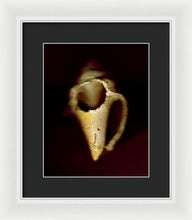 Load image into Gallery viewer, Sea Fragment XIII - Framed Print by Ryan Hopkins