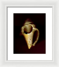 Load image into Gallery viewer, Sea Fragment XIII - Framed Print by Ryan Hopkins