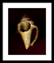 Load image into Gallery viewer, Sea Fragment XIII - Framed Print by Ryan Hopkins