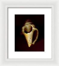 Load image into Gallery viewer, Sea Fragment XIII - Framed Print by Ryan Hopkins