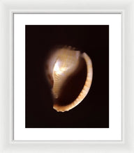 Load image into Gallery viewer, Sea Fragment XIV - Framed Print by Ryan Hopkins