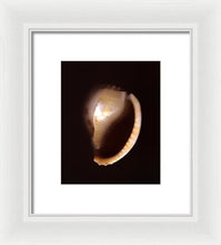 Load image into Gallery viewer, Sea Fragment XIV - Framed Print by Ryan Hopkins