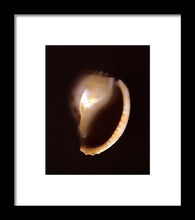 Load image into Gallery viewer, Sea Fragment XIV - Framed Print by Ryan Hopkins