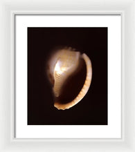 Load image into Gallery viewer, Sea Fragment XIV - Framed Print by Ryan Hopkins