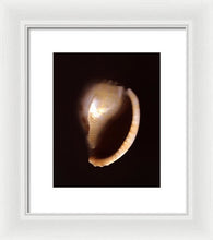 Load image into Gallery viewer, Sea Fragment XIV - Framed Print by Ryan Hopkins