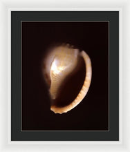 Load image into Gallery viewer, Sea Fragment XIV - Framed Print by Ryan Hopkins