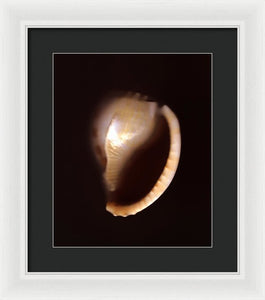 Sea Fragment XIV - Framed Print by Ryan Hopkins