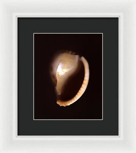 Sea Fragment XIV - Framed Print by Ryan Hopkins