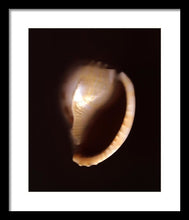 Load image into Gallery viewer, Sea Fragment XIV - Framed Print by Ryan Hopkins