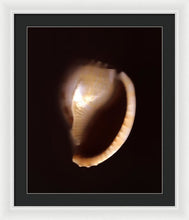 Load image into Gallery viewer, Sea Fragment XIV - Framed Print by Ryan Hopkins