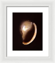 Load image into Gallery viewer, Sea Fragment XIV - Framed Print by Ryan Hopkins