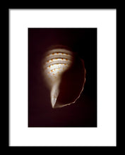 Load image into Gallery viewer, Sea Fragment XV - Framed Print by Ryan Hopkins