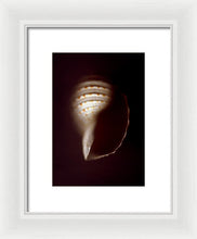 Load image into Gallery viewer, Sea Fragment XV - Framed Print by Ryan Hopkins