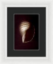 Load image into Gallery viewer, Sea Fragment XV - Framed Print by Ryan Hopkins