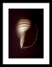 Load image into Gallery viewer, Sea Fragment XV - Framed Print by Ryan Hopkins