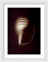 Load image into Gallery viewer, Sea Fragment XV - Framed Print by Ryan Hopkins