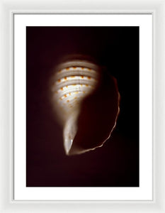 Sea Fragment XV - Framed Print by Ryan Hopkins