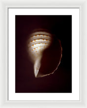 Load image into Gallery viewer, Sea Fragment XV - Framed Print by Ryan Hopkins