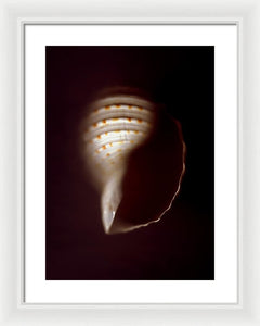 Sea Fragment XV - Framed Print by Ryan Hopkins