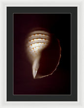 Load image into Gallery viewer, Sea Fragment XV - Framed Print by Ryan Hopkins