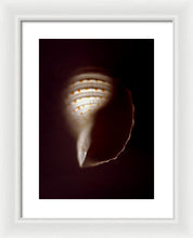 Load image into Gallery viewer, Sea Fragment XV - Framed Print by Ryan Hopkins