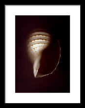 Load image into Gallery viewer, Sea Fragment XV - Framed Print by Ryan Hopkins