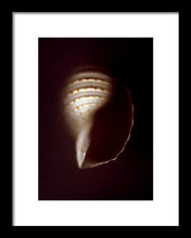 Load image into Gallery viewer, Sea Fragment XV - Framed Print by Ryan Hopkins