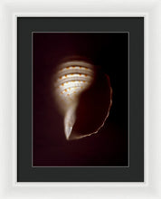 Load image into Gallery viewer, Sea Fragment XV - Framed Print by Ryan Hopkins