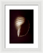 Load image into Gallery viewer, Sea Fragment XV - Framed Print by Ryan Hopkins