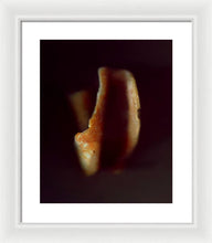 Load image into Gallery viewer, Sea Fragment XVI - Framed Print by Ryan Hopkins