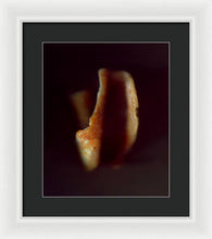 Load image into Gallery viewer, Sea Fragment XVI - Framed Print by Ryan Hopkins