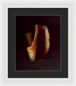 Sea Fragment XVI - Framed Print by Ryan Hopkins