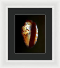 Load image into Gallery viewer, Sea Fragment XVII - Framed Print by Ryan Hopkins